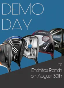 demo