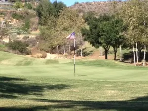 flags