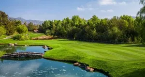 18greenb-reidy-creek
