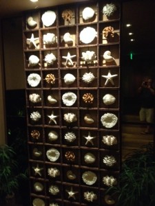 wall of shells