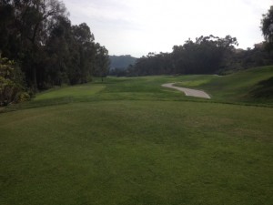 tee8
