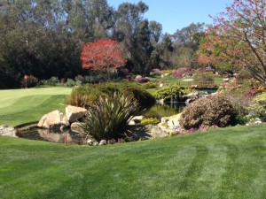 par 3 2