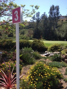 par 3 final