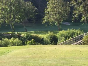 par 3