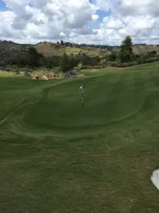 green view