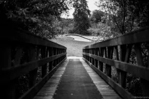 Maderas+Golf+Club+BW+by+Mark+Ley_-44[1]