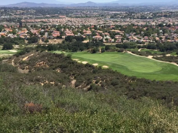 6 tee
