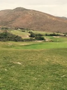 course view