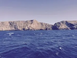 first glimpse