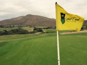 flag