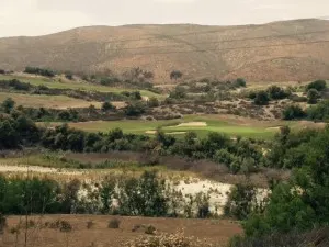 green 2
