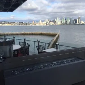 view