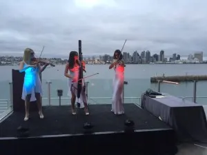 violins