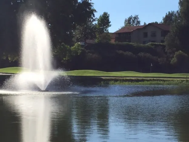 No. 8 fountain