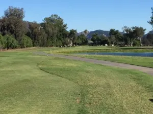 No. 9 tee