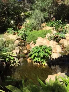 pond