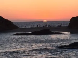 sun 8