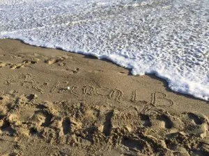 twitter handle