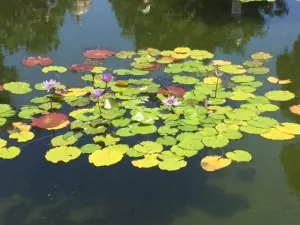 water 2