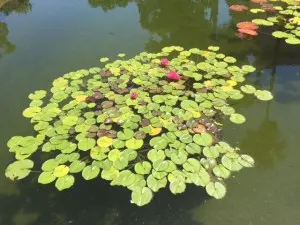 water 3
