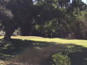 par 3