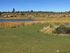 par 3