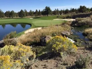 pronghorn 13 overlook