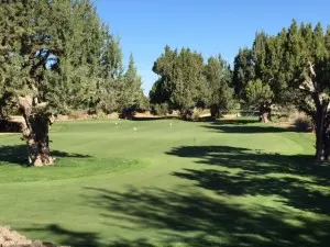 putt and short