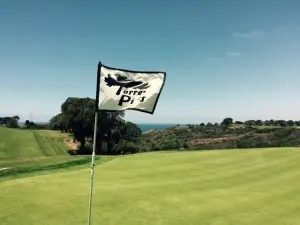 13 flag