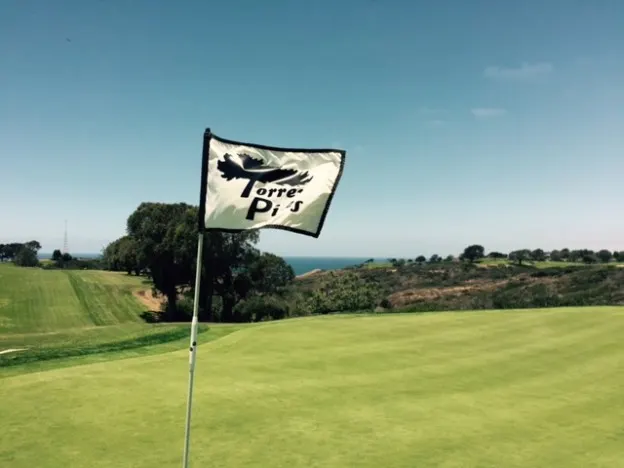 13 flag