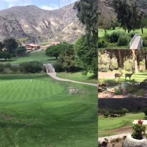 Ranch LB insta