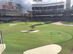 course closeup