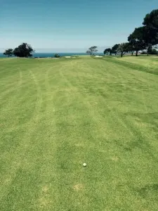 fairway