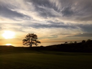 Torrey sun
