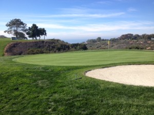 north3green