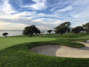 Torrey No. 5