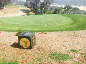 Goat tee marker