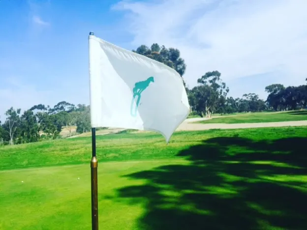 flag
