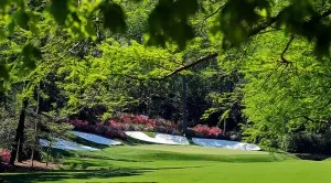 Augusta-847-Cannon[1]