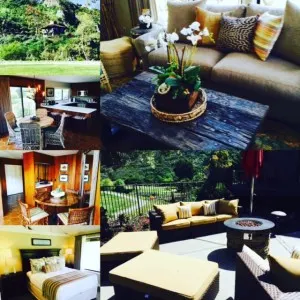 Treehouse collage