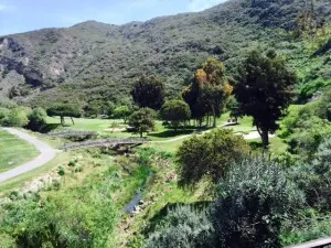 new Ranch
