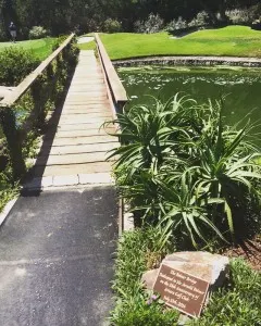 bridge-ap