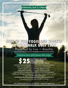 yogis