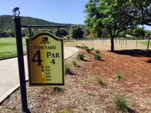 vineyard course