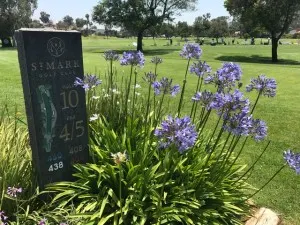 tee marker
